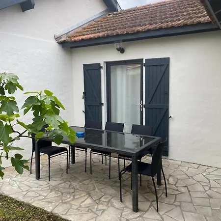 Le Figuier La Teste-de-Buch