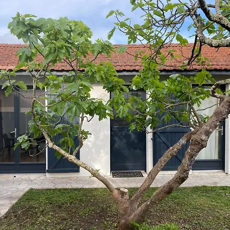 Le Figuier La Teste-de-Buch