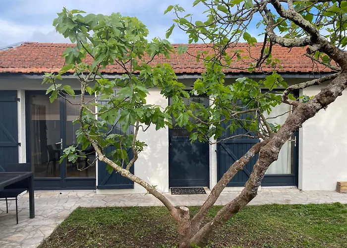 Le Figuier La Teste-de-Buch